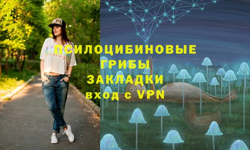 дарнет шоп  Бобров  Галлюциногенные грибы MAGIC MUSHROOMS 